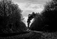 IMG_6295