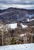 IMG_1831