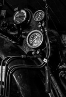 IMG_4601