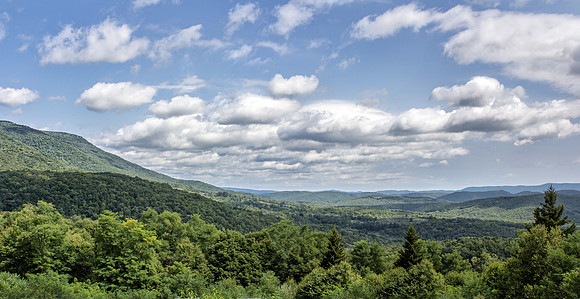 Whitaker Panorama 1